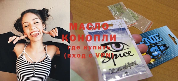 молекула духа Алексеевка