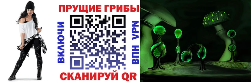 Псилоцибиновые грибы MAGIC MUSHROOMS нарко площадка наркотические препараты Щёлково
